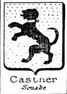 Castner Coat of Arms / Family Crest 0