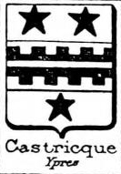 Castricque Coat of Arms / Family Crest 0