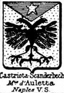 Castriota Coat of Arms / Family Crest 1