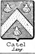 Catel Coat of Arms / Family Crest 0