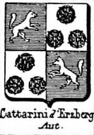 Cattarini Coat of Arms / Family Crest 0