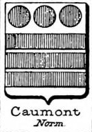 Caumont Coat of Arms / Family Crest 2