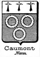 Caumont Coat of Arms / Family Crest 3