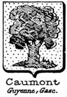Caumont Coat of Arms / Family Crest 4