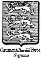 Caumont Coat of Arms / Family Crest 6