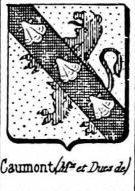 Caumont Coat of Arms / Family Crest 8