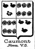 Caumont Coat of Arms / Family Crest 10