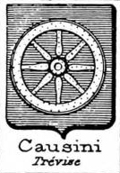 Causini Coat of Arms / Family Crest 0