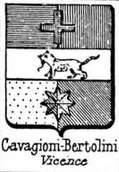 Cavagioni Coat of Arms / Family Crest 1