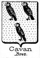 Cavan Coat of Arms / Family Crest 0