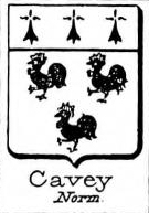Cavey Coat of Arms / Family Crest 0