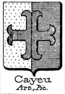 Cayeu Coat of Arms / Family Crest 0