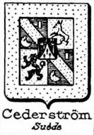 Cederstrom Coat of Arms / Family Crest 0