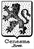 Cenesme Coat of Arms / Family Crest 0