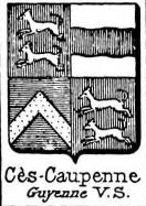 Ces Coat of Arms / Family Crest 0