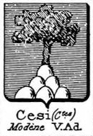 Cesi Coat of Arms / Family Crest 2