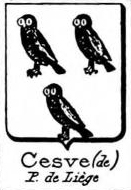 Cesve Coat of Arms / Family Crest 0