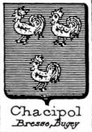 Chacipol Coat of Arms / Family Crest 0