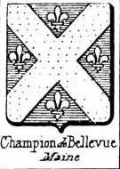 Champion Coat of Arms / Family Crest 10