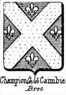 Champion Coat of Arms / Family Crest 11