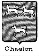 Chaslon Coat of Arms / Family Crest 0