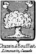 Chassin Coat of Arms / Family Crest 1