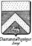 Chastanet Coat of Arms / Family Crest 0