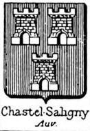 Chastel Coat of Arms / Family Crest 20
