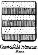 Chastel Coat of Arms / Family Crest 21