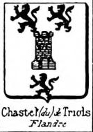 Chastel Coat of Arms / Family Crest 22