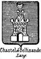 Chastel Coat of Arms / Family Crest 9