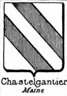 Chastelgontier Coat of Arms / Family Crest 0