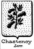 Chastenoy Coat of Arms / Family Crest 1