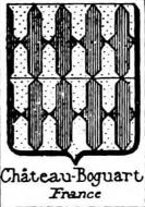 Chateau Coat of Arms / Family Crest 4