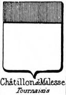 Chatillon Coat of Arms / Family Crest 13