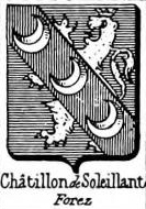 Chatillon Coat of Arms / Family Crest 14