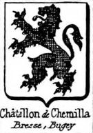Chatillon Coat of Arms / Family Crest 4