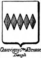 Chauvigny Coat of Arms / Family Crest 2