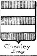 Chesley Coat of Arms / Family Crest 0