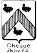 Chesse Coat of Arms / Family Crest 0