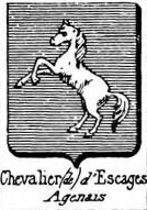 Chevalier Coat of Arms / Family Crest 25