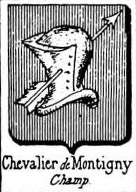 Chevalier Coat of Arms / Family Crest 28