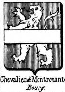 Chevalier Coat of Arms / Family Crest 29