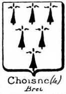 Choisne Coat of Arms / Family Crest 0
