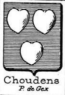 Choudens Coat of Arms / Family Crest 1
