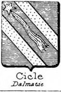 Cicle Coat of Arms / Family Crest 0