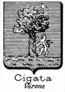 Cigata Coat of Arms / Family Crest 0