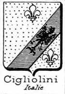 Cigliolini Coat of Arms / Family Crest 0