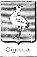 Cigonia Coat of Arms / Family Crest 0