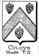 Citoys Coat of Arms / Family Crest 0